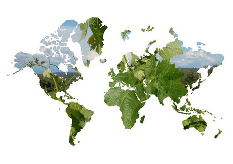 le monde de la vigne et du vin